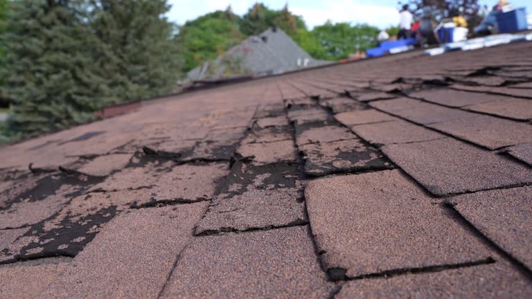 Best Roof Coating and Sealing  in Selma, AL