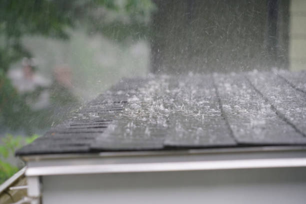 Best Roof Insulation Installation  in Selma, AL
