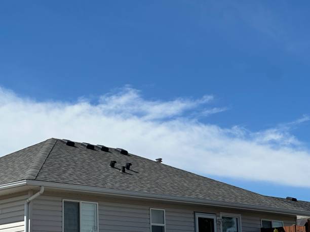 Best Roof Leak Repair  in Selma, AL